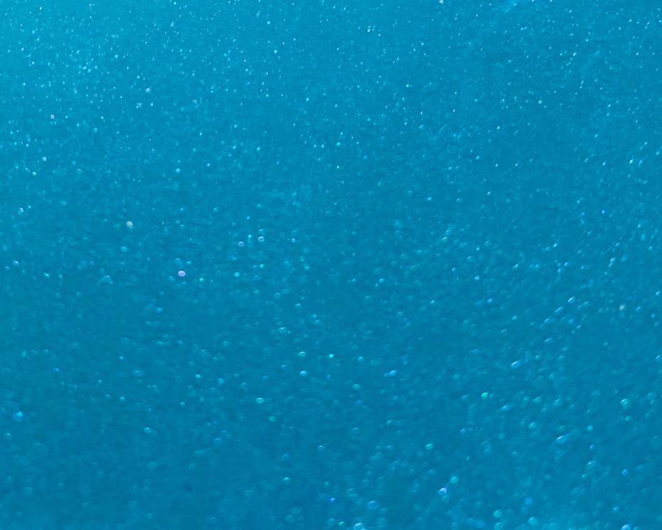 カバザクラのリバーテーブル